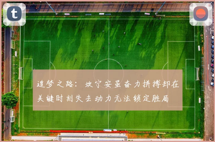 追梦之路：坎宁安虽奋力拼搏却在关键时刻失去动力无法锁定胜局