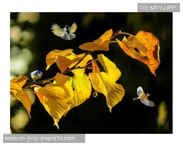 詹东里三人同场423分钟净效率微增东里单独在场460分钟表现突出